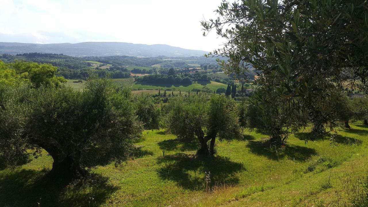 Montevenere 83 Villa Чиуси Екстериор снимка