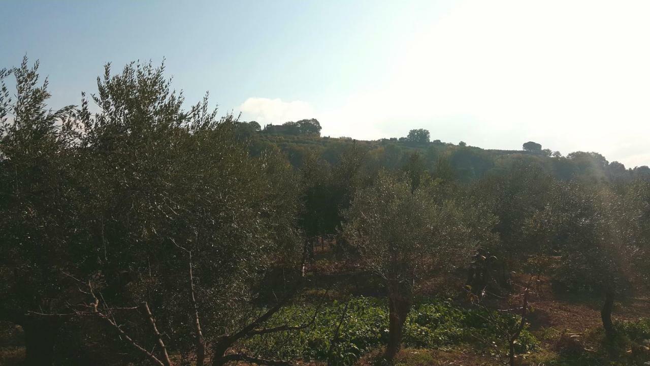 Montevenere 83 Villa Чиуси Екстериор снимка